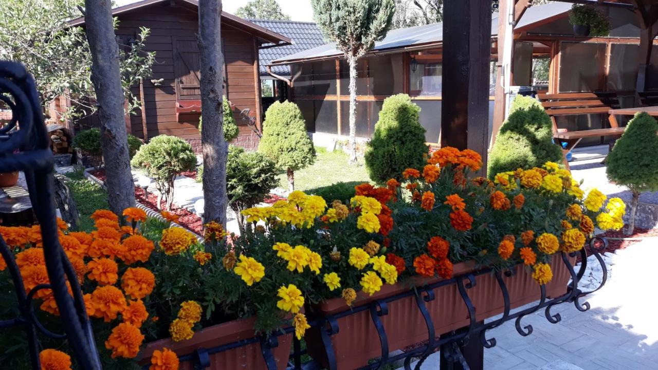 Casa Alberta Ocna Sugatag Luaran gambar
