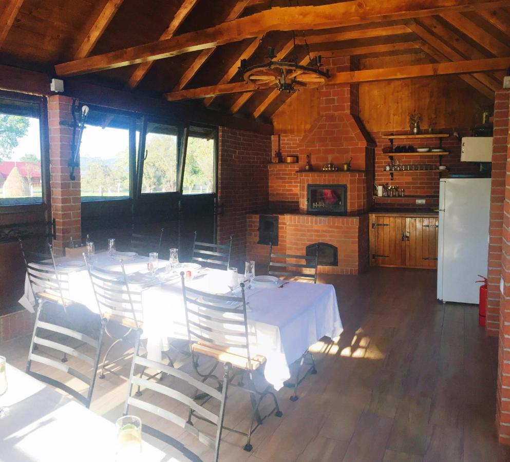 Casa Alberta Ocna Sugatag Luaran gambar